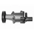 Pompe à eau MAGNETI MARELLI 350981301000 - Visuel 2