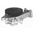 Pompe à eau MAGNETI MARELLI 350981324000 - Visuel 2