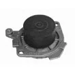 Pompe à eau MAGNETI MARELLI 350981329000 - Visuel 1