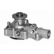 Pompe à eau MAGNETI MARELLI 350981334000 - Visuel 2