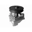 Pompe à eau MAGNETI MARELLI 350981343000 - Visuel 1