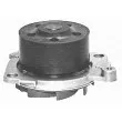 Pompe à eau MAGNETI MARELLI 350981348000 - Visuel 2