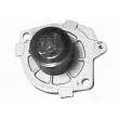 Pompe à eau MAGNETI MARELLI 350981352000 - Visuel 2