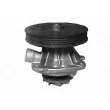 Pompe à eau MAGNETI MARELLI 350981366000 - Visuel 2