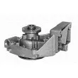 Pompe à eau MAGNETI MARELLI 350981488000 - Visuel 1