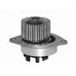 Pompe à eau MAGNETI MARELLI 350981513000 - Visuel 1