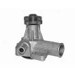 Pompe à eau MAGNETI MARELLI 350981532000 - Visuel 2