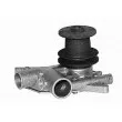 Pompe à eau MAGNETI MARELLI 350981571000 - Visuel 1