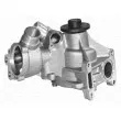Pompe à eau MAGNETI MARELLI 350981722000 - Visuel 1