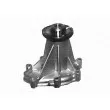 Pompe à eau MAGNETI MARELLI 350981726000 - Visuel 2