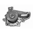 Pompe à eau MAGNETI MARELLI 350981770000 - Visuel 2