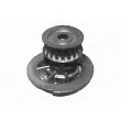 Pompe à eau MAGNETI MARELLI 350981781000 - Visuel 2