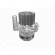 Pompe à eau MAGNETI MARELLI 350981791000 - Visuel 1