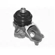 Pompe à eau MAGNETI MARELLI 350981795000 - Visuel 2