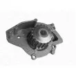 Pompe à eau MAGNETI MARELLI 350981800000 - Visuel 1