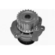 Pompe à eau MAGNETI MARELLI 350982025000 - Visuel 1