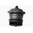 Pompe à eau MAGNETI MARELLI 350982033000 - Visuel 2