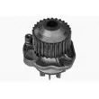 Pompe à eau MAGNETI MARELLI 350982042000 - Visuel 2