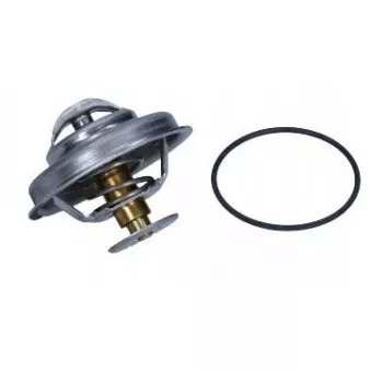 Thermostat d'eau TEKNÖR TER 3792