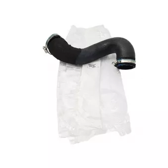 Durite de turbo OE