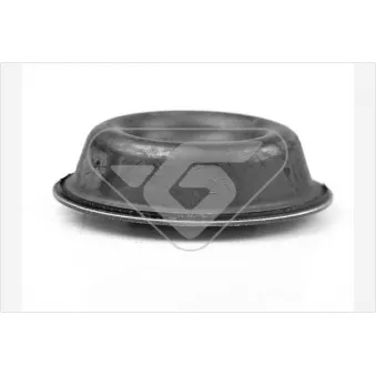 Silent bloc de suspension (train avant) HUTCHINSON 519621