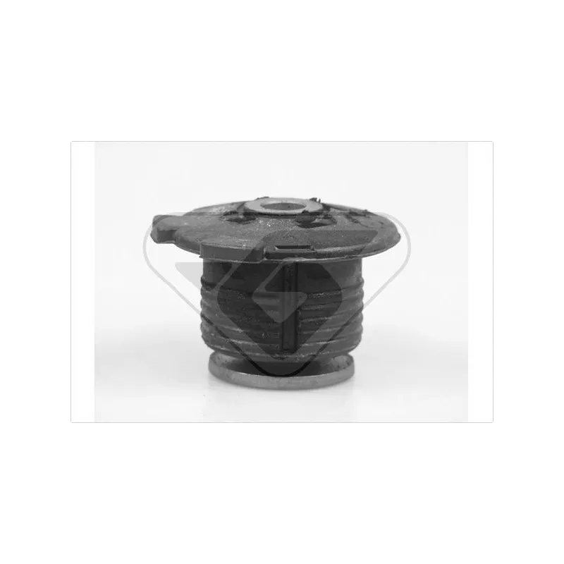 Suspension, corps de l'essieu HUTCHINSON 531416