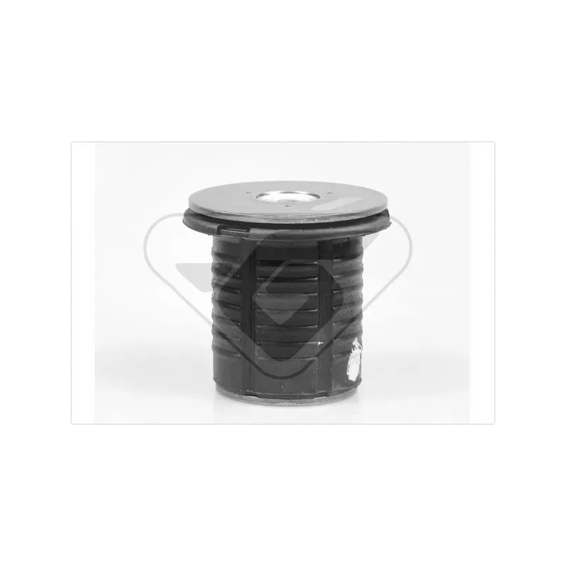 Suspension, corps de l'essieu HUTCHINSON 531428