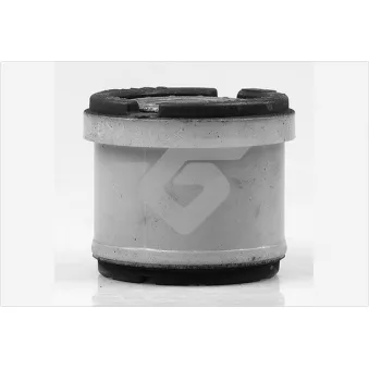 Suspension, corps de l'essieu HUTCHINSON 531582