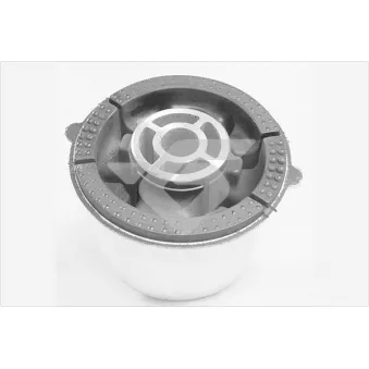 Suspension, corps de l'essieu HUTCHINSON 531A02