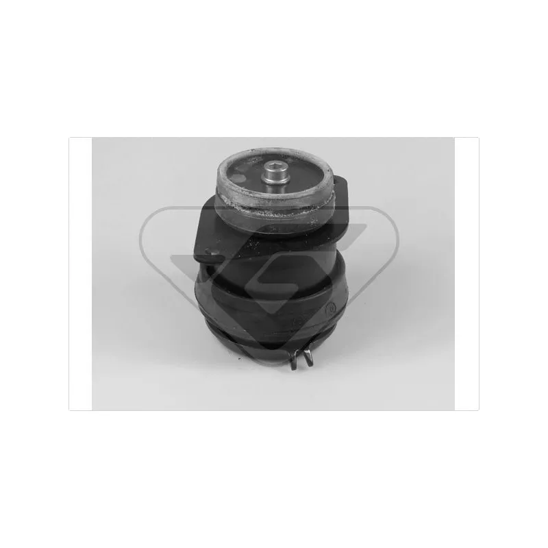 Support, suspension du moteur HUTCHINSON 538298