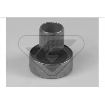 Suspension, corps de l'essieu HUTCHINSON 560352