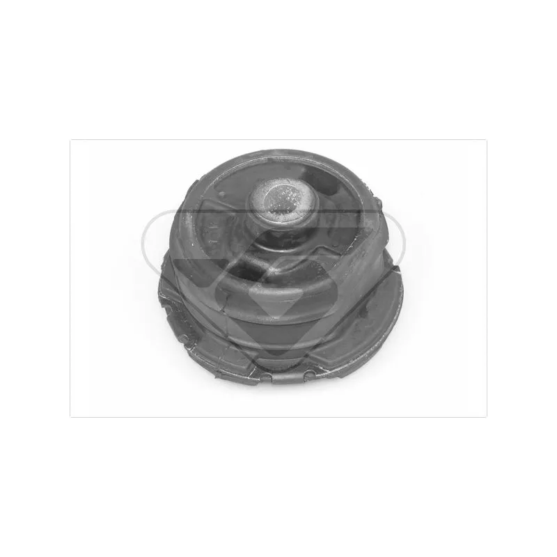 Suspension, corps de l'essieu HUTCHINSON 560550