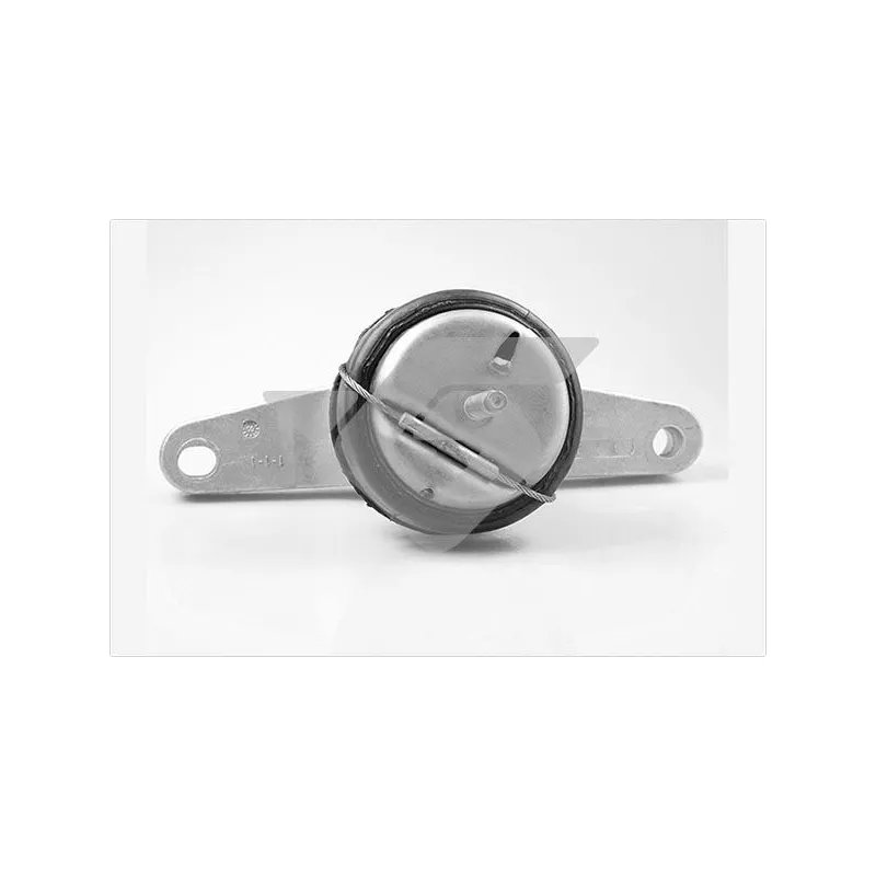 Support, suspension du moteur HUTCHINSON 586473