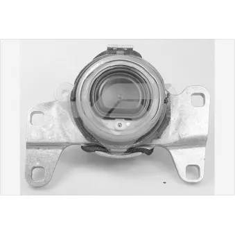 Suspension, boîte de vitesse manuelle HUTCHINSON