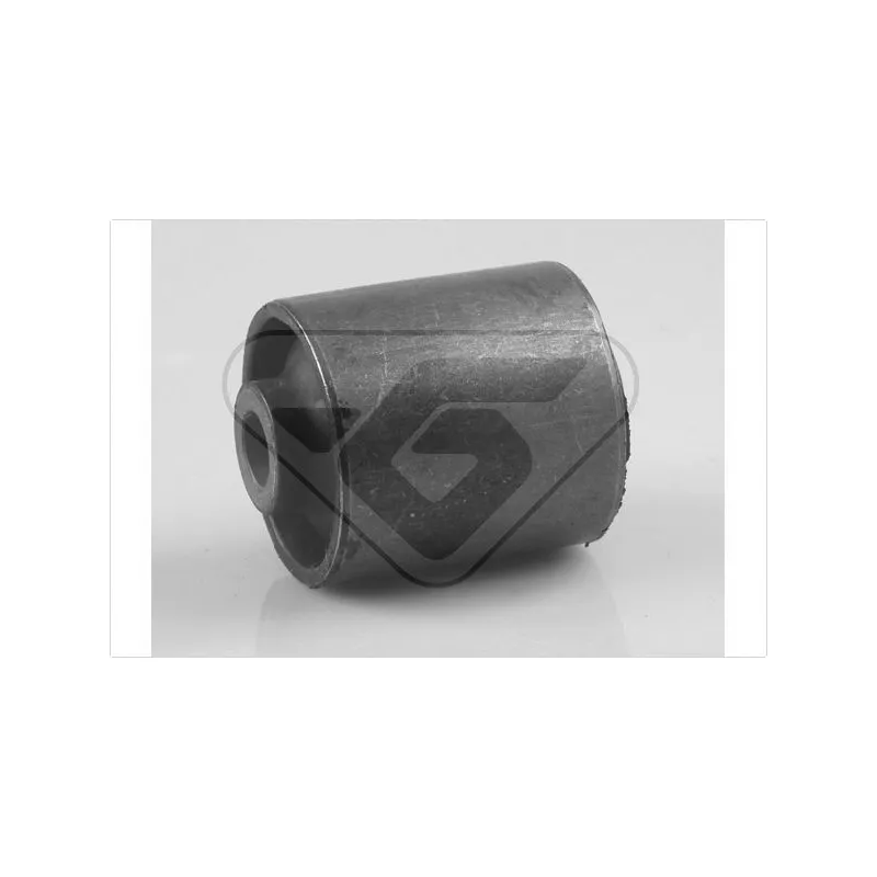 Suspension, corps de l'essieu HUTCHINSON 590079