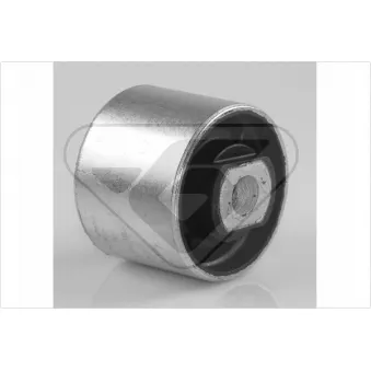 Suspension, corps de l'essieu HUTCHINSON 590113