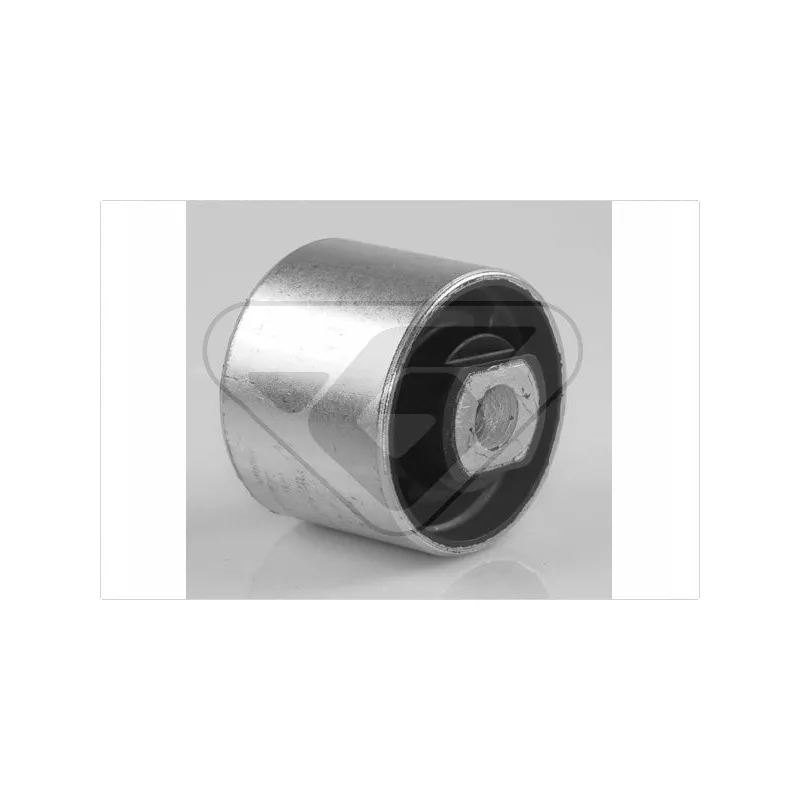 Suspension, corps de l'essieu HUTCHINSON 590113
