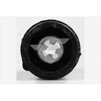 Suspension, corps de l'essieu HUTCHINSON 590182