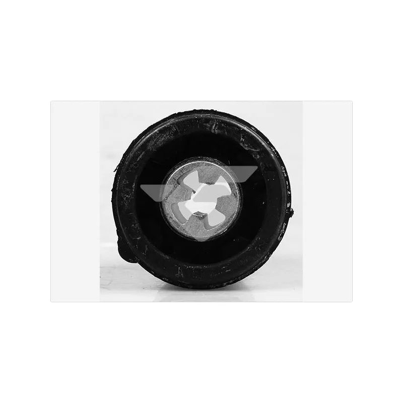 Suspension, corps de l'essieu HUTCHINSON 590182