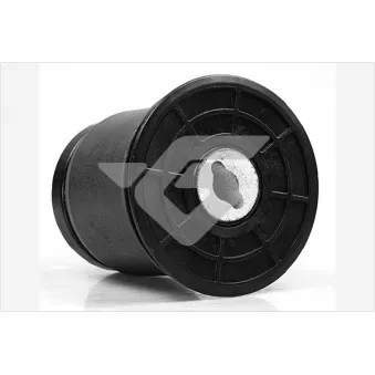 Suspension, corps de l'essieu HUTCHINSON 590216