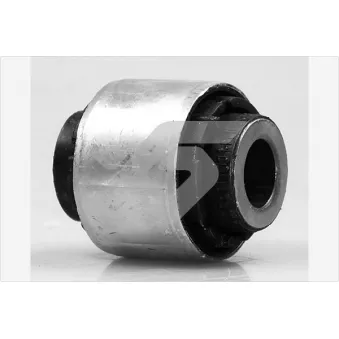 Suspension, bras de liaison HUTCHINSON 590218