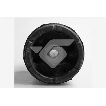 Suspension, corps de l'essieu HUTCHINSON 590245