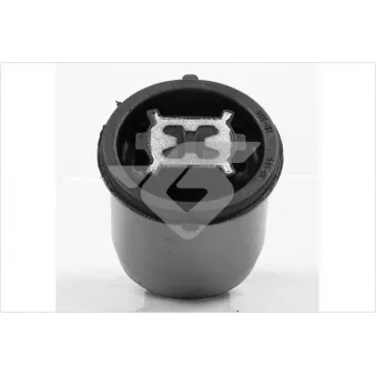 Suspension, corps de l'essieu HUTCHINSON 590285