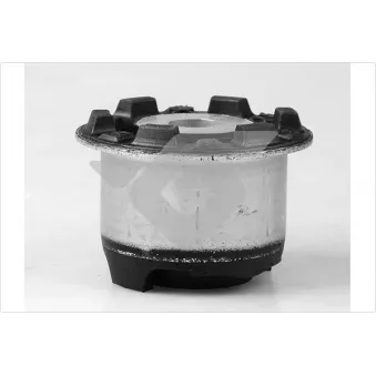 Suspension, corps de l'essieu HUTCHINSON 590288