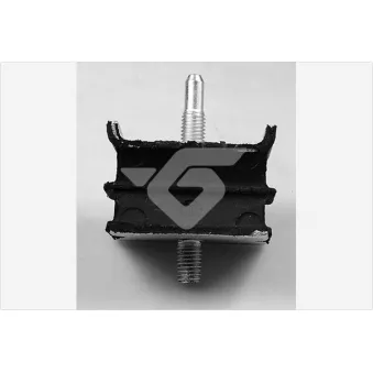 Suspension, corps de l'essieu HUTCHINSON 590310