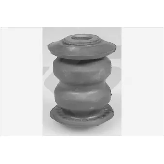 Silent bloc de suspension (train avant) HUTCHINSON 590418