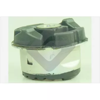 Suspension, corps de l'essieu HUTCHINSON 590440