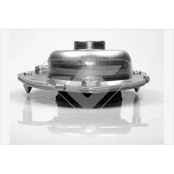 Coupelle de suspension HUTCHINSON 594183