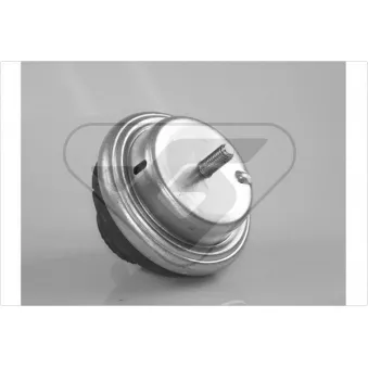 Support, suspension du moteur HUTCHINSON 594255