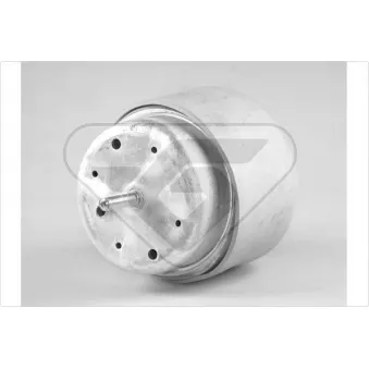 Support, suspension du moteur HUTCHINSON 594346